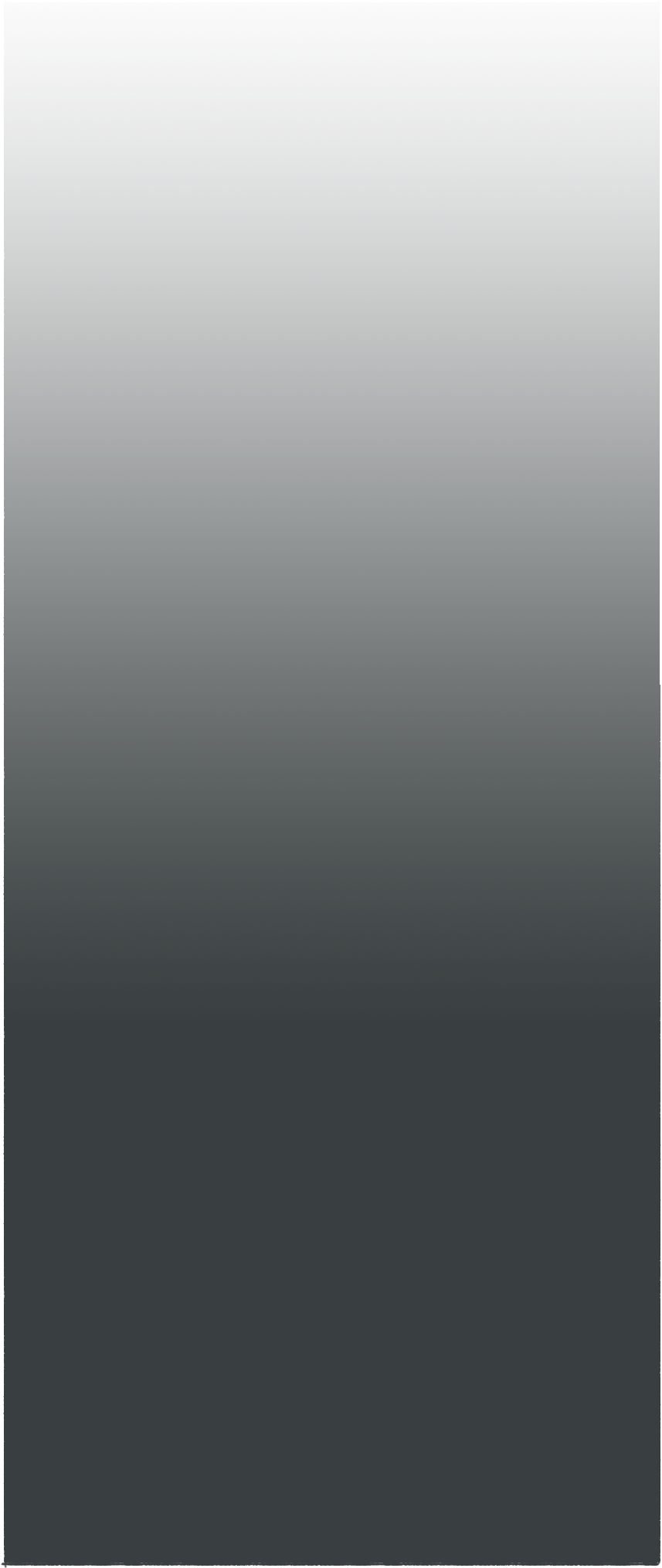 vineta04_11