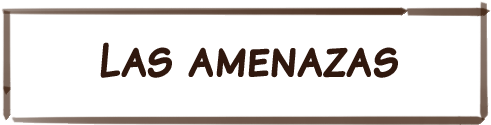 texto01