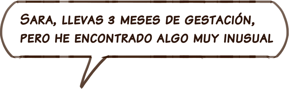 texto09